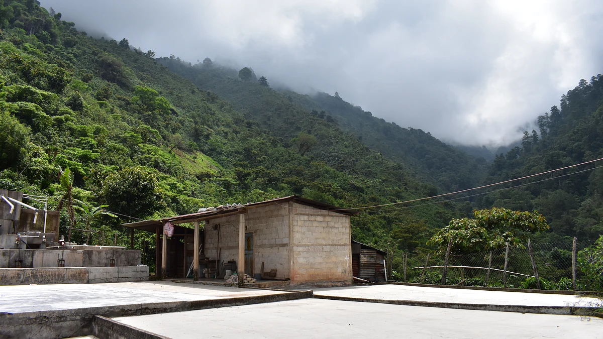 Vista El Bosque - '24