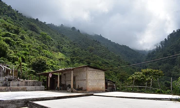 Vista El Bosque - '24