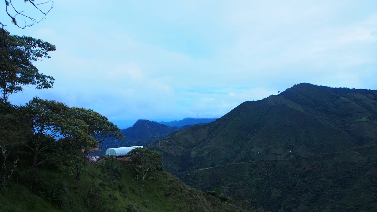 San Rafael 
