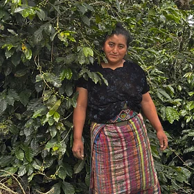 María Izaguirre standing among coffee plants.