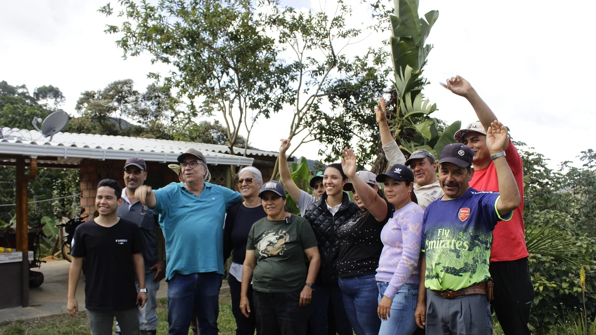 Chirosos de San Carlos