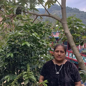 Maria Raymundo standing beside coffee plants.