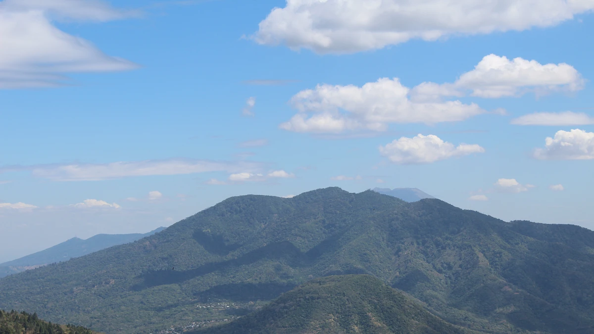 Los Arayanes