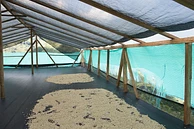 Santa Elena #1