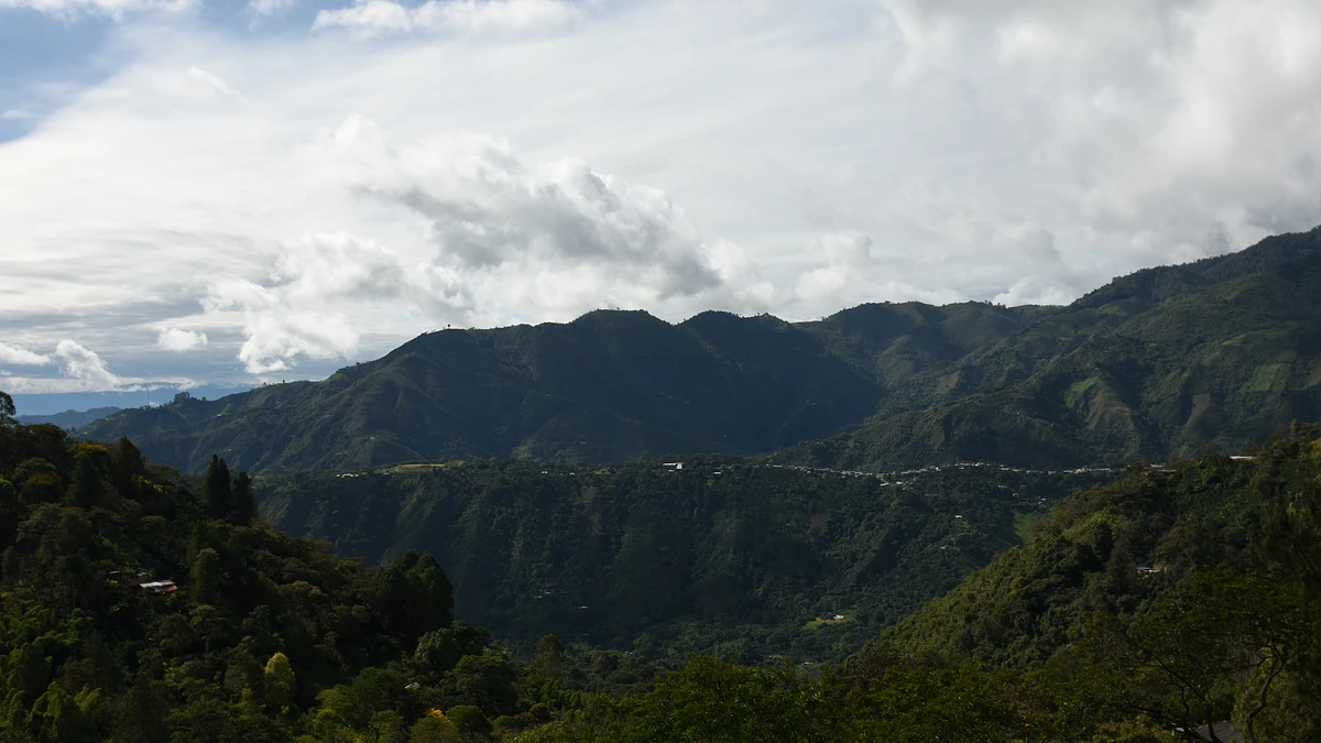 Tolima Hermosas Decaf