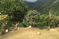 La Ceja
