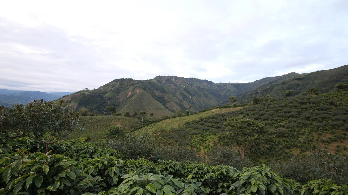 Huila Villa Juan