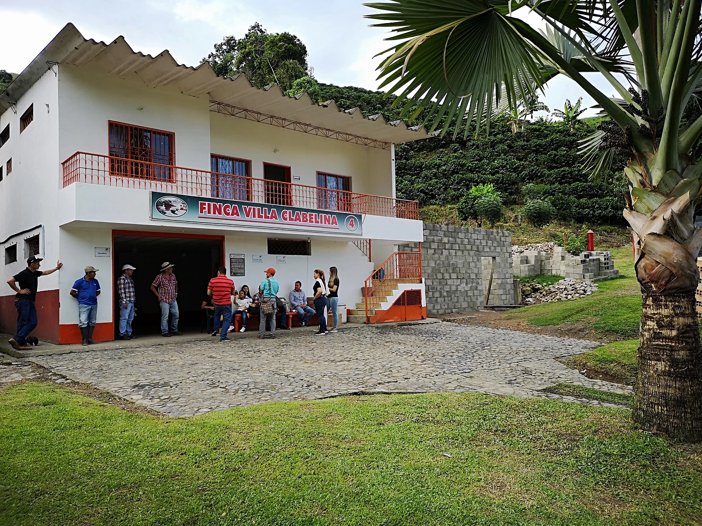Purchase Villa Clabellina #6 coffee with flavors of Pineapple, Mango, Plum