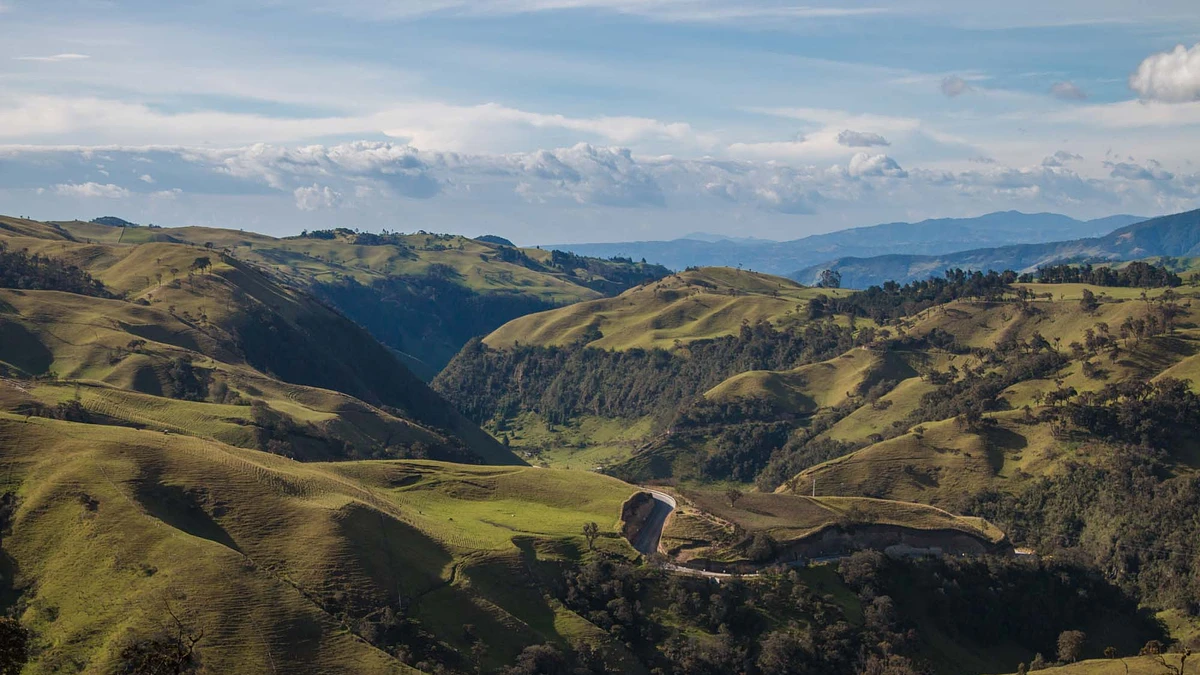 Coffee production in Nariño, Colombia, for Alianza Nariño
