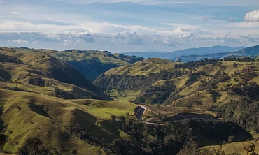 Alianza Nariño