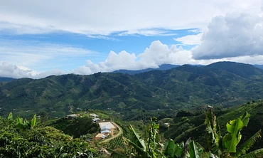 Tropical Huila
