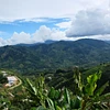 Smallholder coffee production in Huila, Colombia, for Tropical Huila