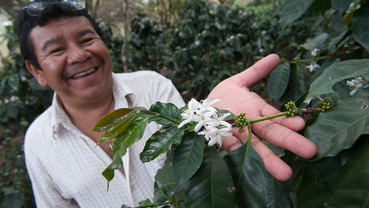 San Marcos de Colón