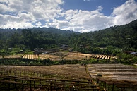 Aroresa - Ethiopia Sidama