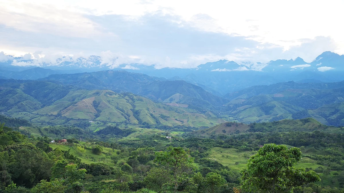 Purchase El Encanto '23 coffee with flavors of Funky, Funky Fruit