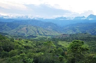 MB5: El Encanto Geisha