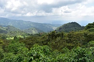 El Tambor 