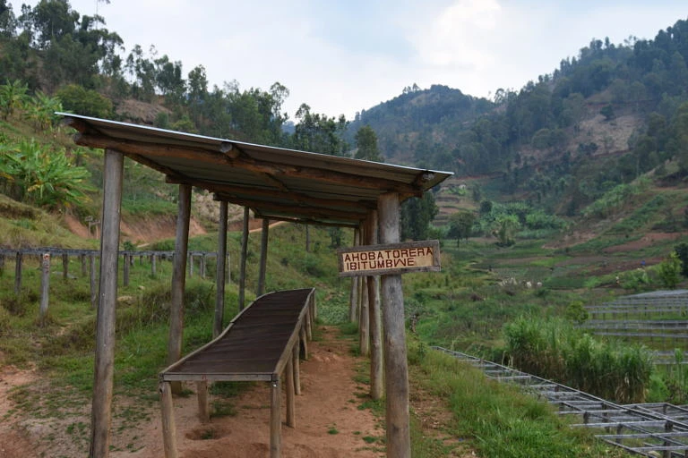 Purchase Gatare Lot 5 coffee with flavors of Green Grape, Citrus, Vanilla