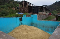 Gatare Lot 4