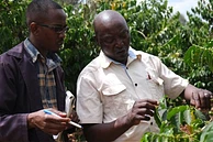 Tasting Series: Kigari