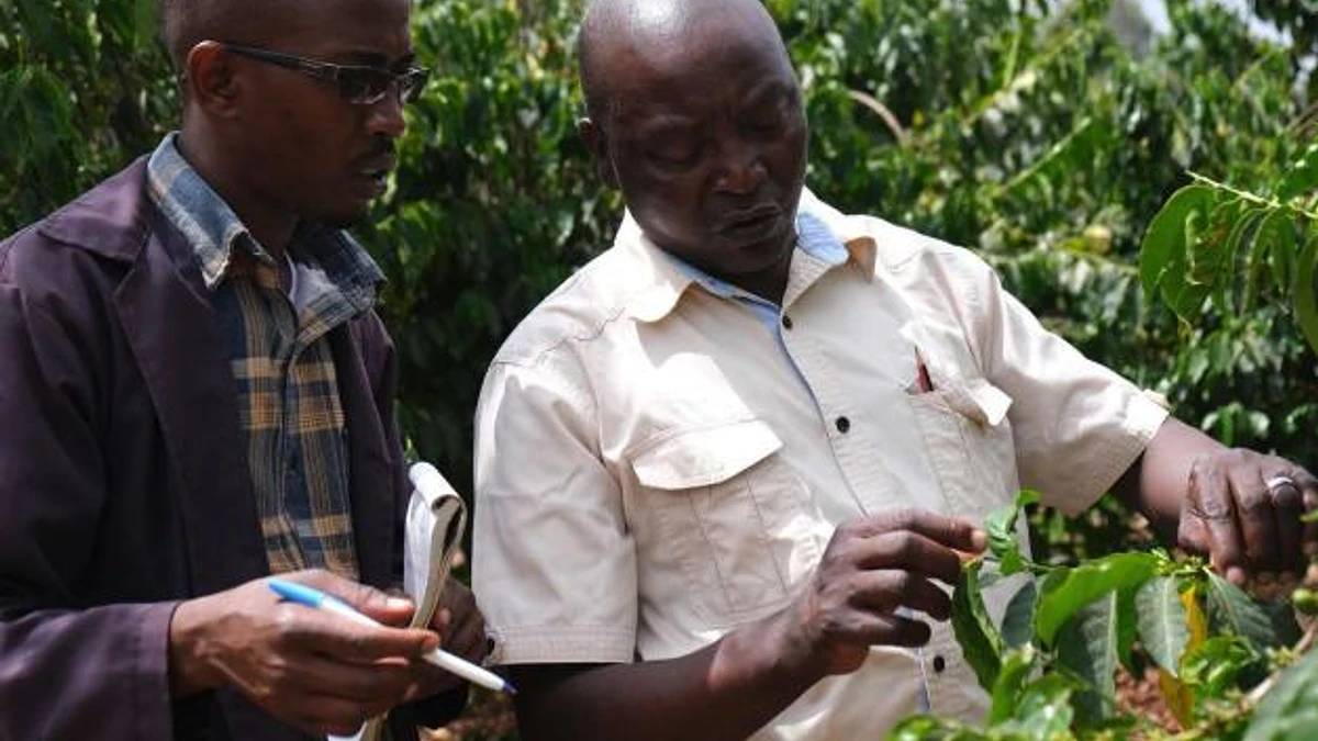 Tasting Series: Kigari