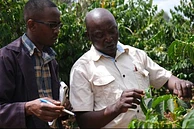 Tasting Series: Kigari