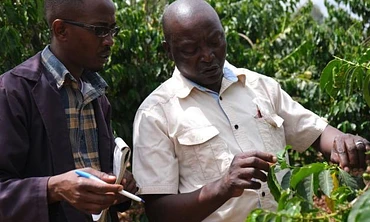 Tasting Series: Kigari