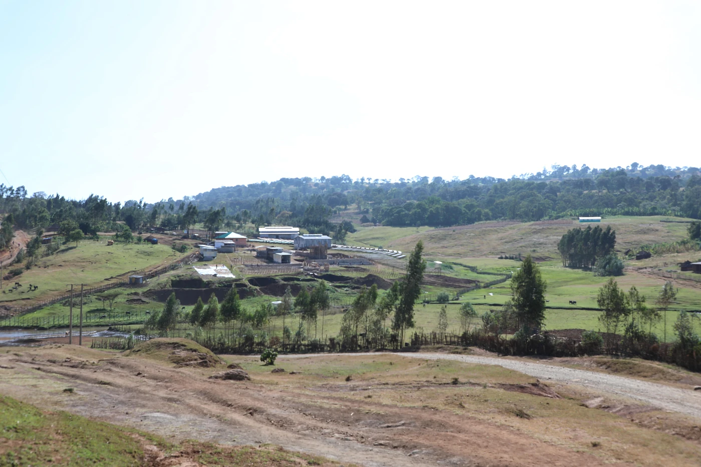 Purchase Uraga #2 coffee with flavors of Tasting Notes: Rose, Honey, Lemon