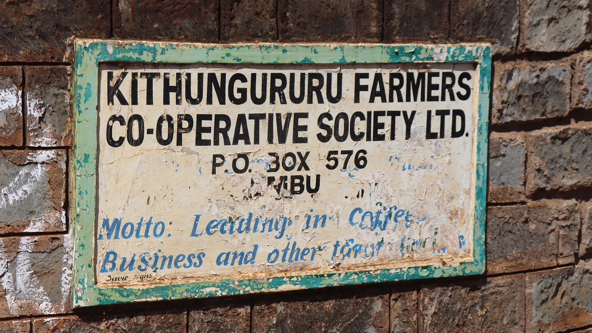 Tasting Series Kithingururu