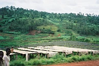 Burundi Gahahe