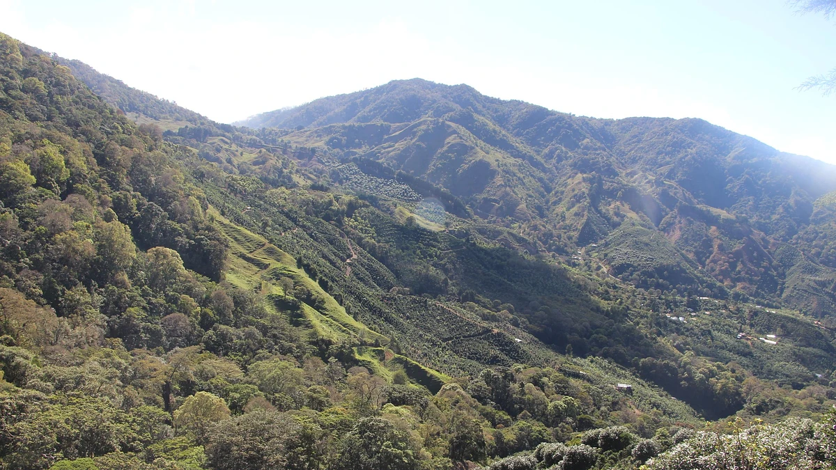 Finca Viuda