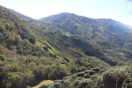Finca Viuda