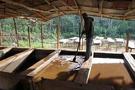 Mokonisa Bulga