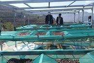 Tasting Series: Bura'a Rooftop