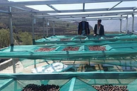 Tasting Series: Bura'a Rooftop