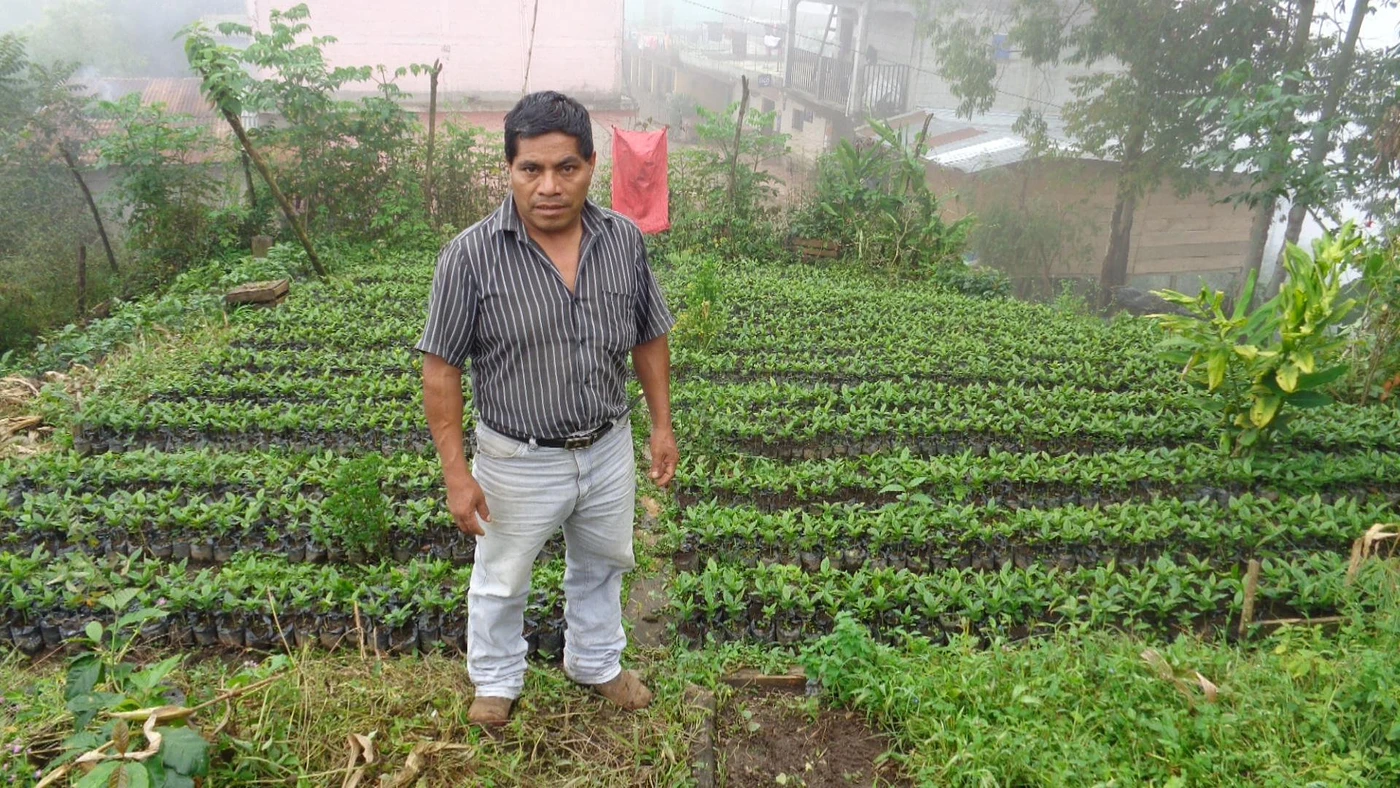 Purchase La Colmenita coffee with flavors of Caramel, Tangerine, Plum