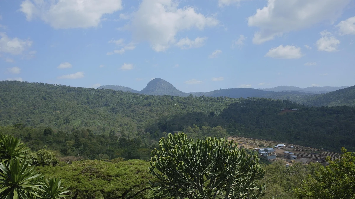 Wottona Bultuma