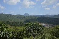 Wottona Bultuma