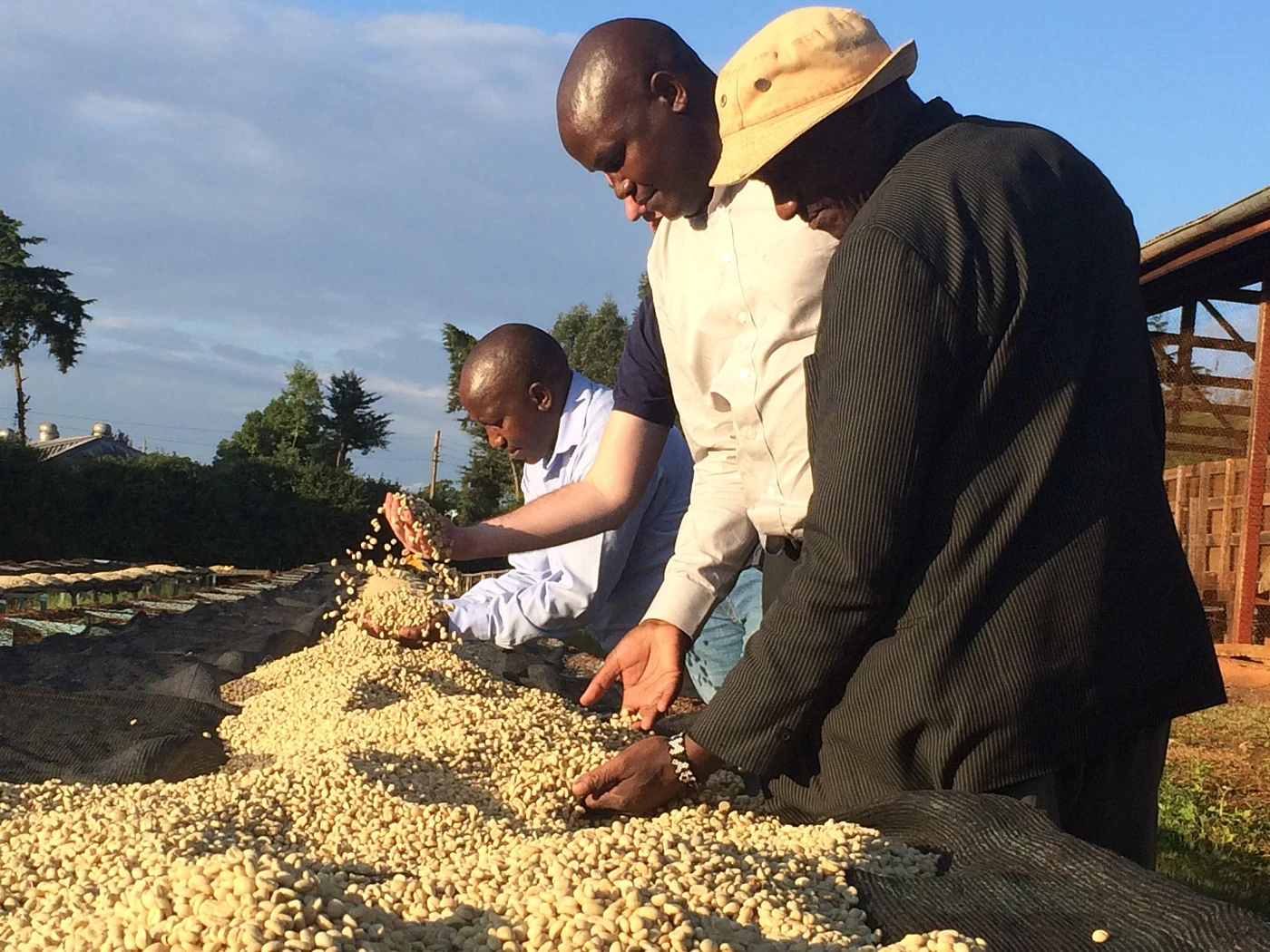 Purchase Karindundu 256 coffee with flavors of Passion Fruit, Bergamot, Floral