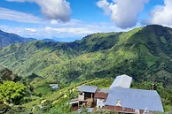 TS: Ninco Pink Bourbon