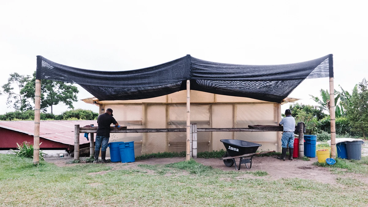 Tasting Series: Villa Betulia