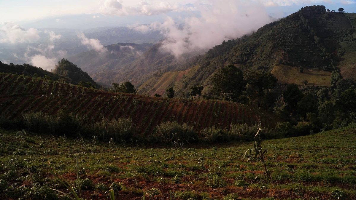 La Esperanza