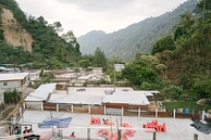 Classic: Hoja Blanca