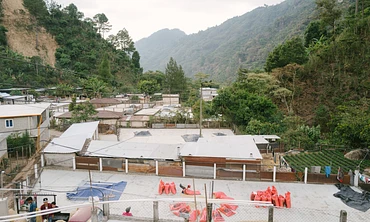 Classic: Hoja Blanca