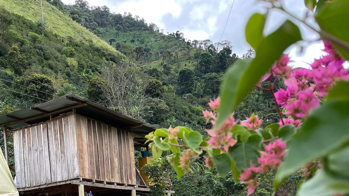 ​Las Garzas Natural​