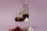 TS: El Guatalón Geisha