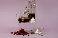 TS: El Guatalón Geisha