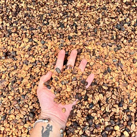 Purchase TS: Strawberry Fields coffee with flavors of Strawberry, Chocolate, Lemon
