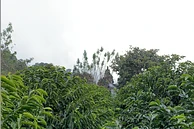 TS: La Montana