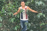 MB3: El Paraiso Gesha